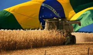 Reindustrializar o Brasil passa por fortalecer o Agro
